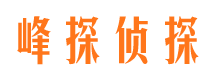 武昌市调查公司